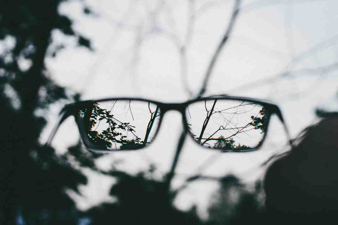 Pourquoi cour et jardin ?