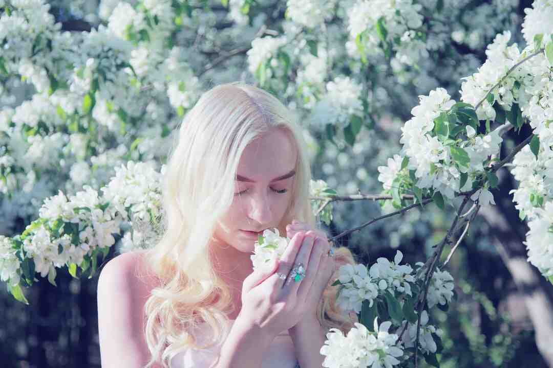 Quels sont les deux sens du mot opéra ?