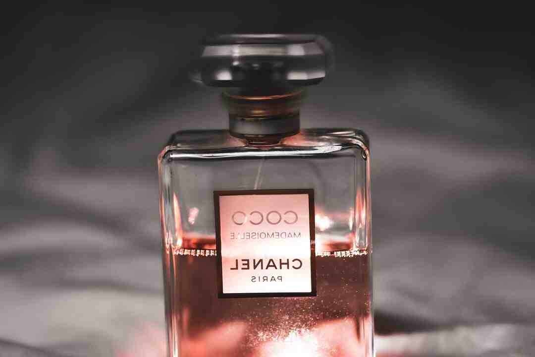 Quels sont les plus grands succès de Molière ?