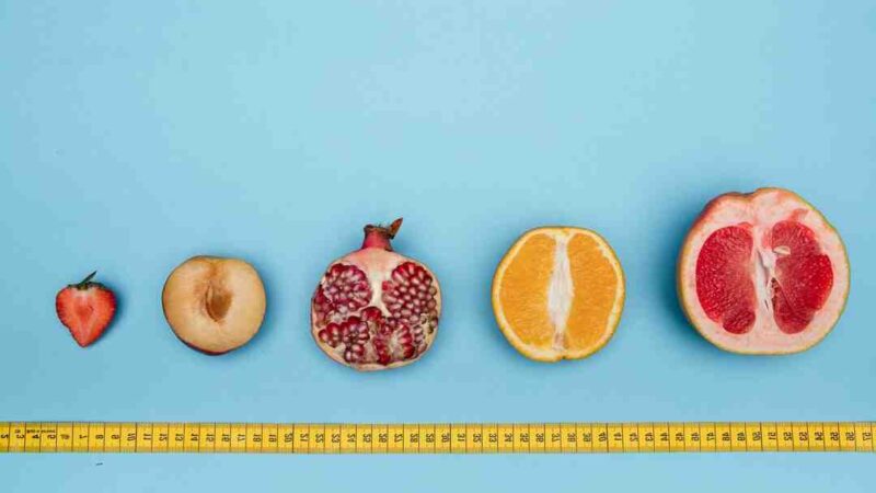 Quels sont les types d'opéra ?