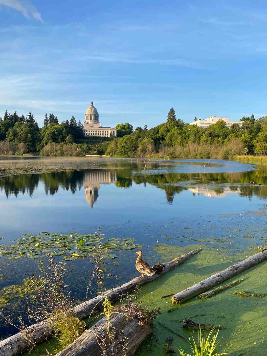 Qui a chanté à l'Olympia ?
