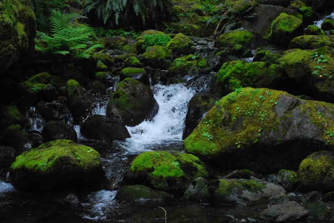 Qui a créé l'Olympia ?