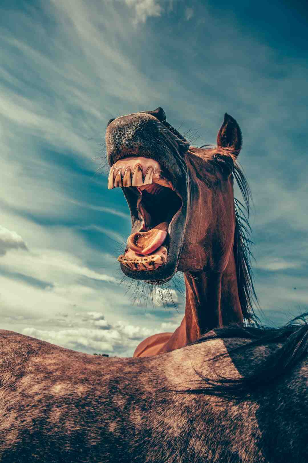 Comment appelle T-ON un danseur de salsa ?