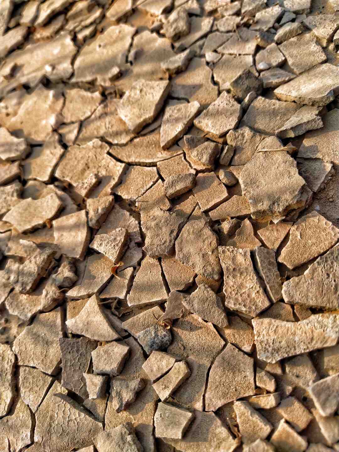 Comment définir la culture ?