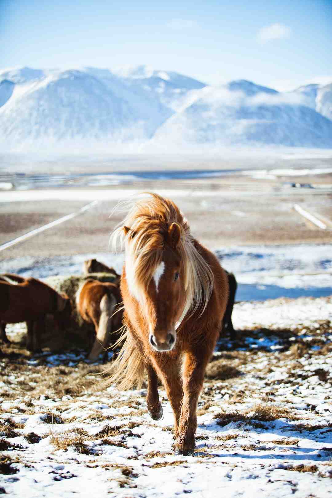 Comment devenir danseuse de cabaret ?