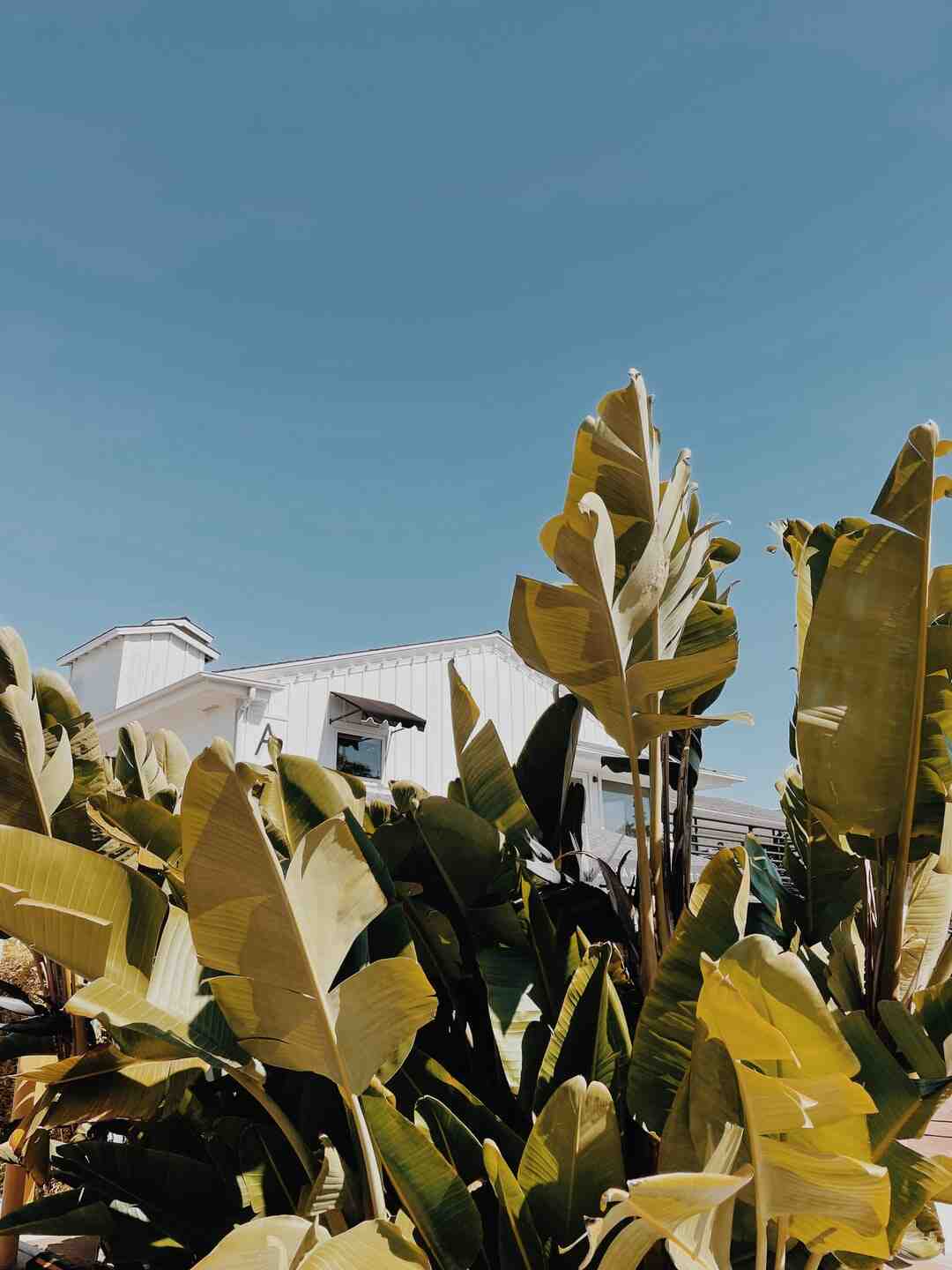 Comment s'habiller pour aller au Lido ?