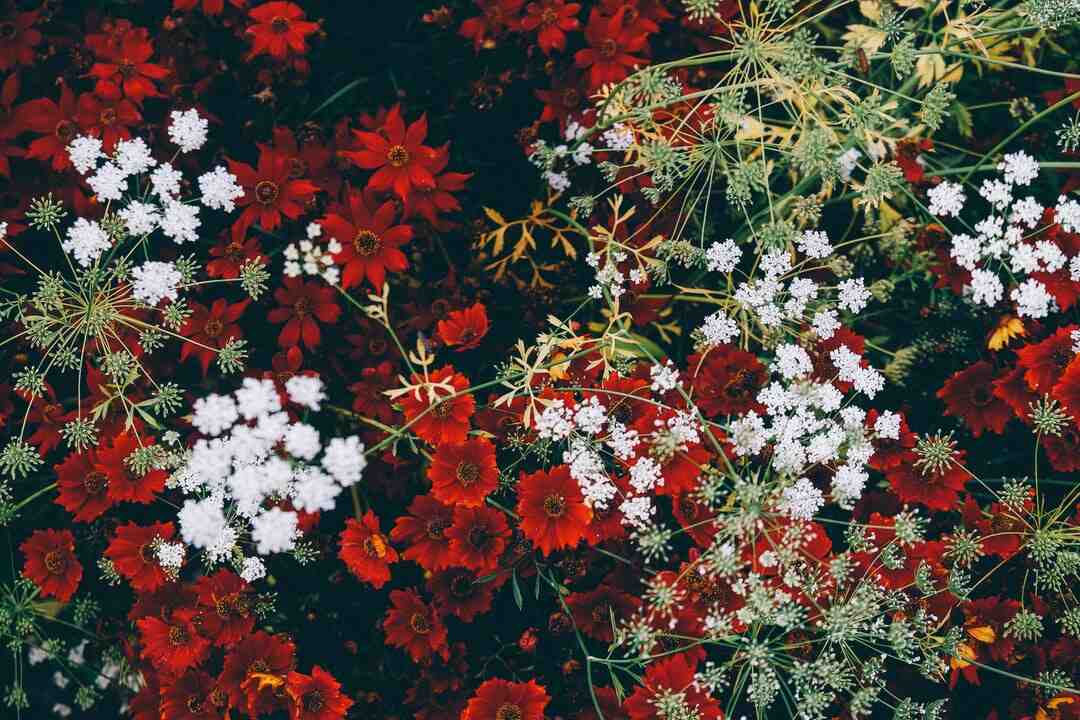 Où aller pour le 31 décembre ?