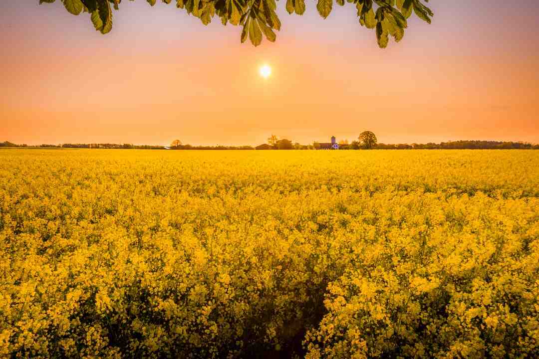 Où faire le jour de l'An à Bruxelles ?