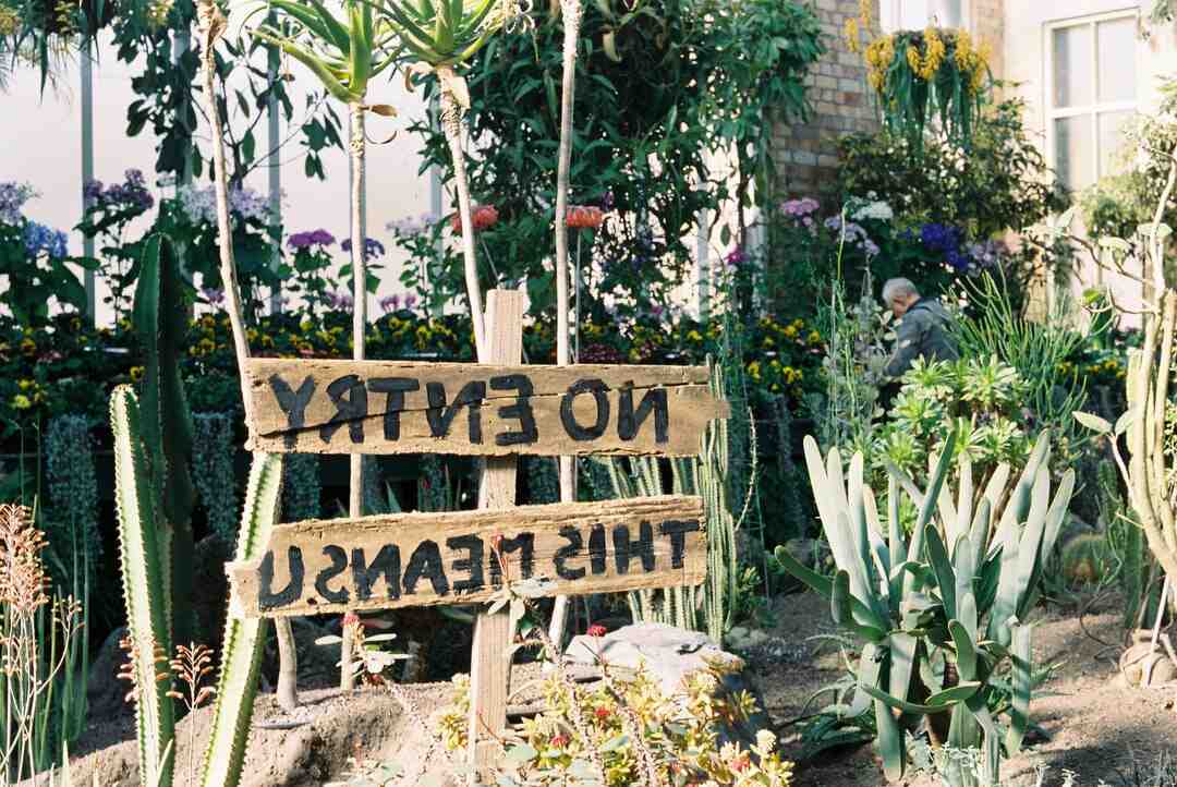 Où passer le premier de l'an en Europe ?