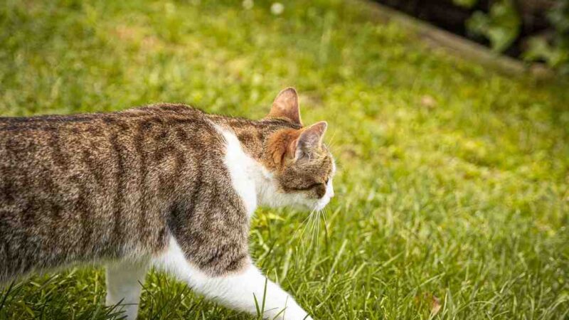 Ou réveillonner le 31 décembre 2021 Bordeaux ?