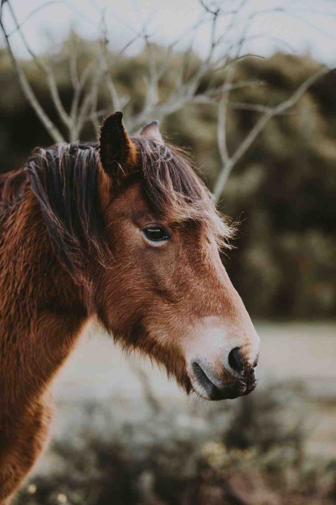 Quel métier rapporte 10.000 euros par mois ?