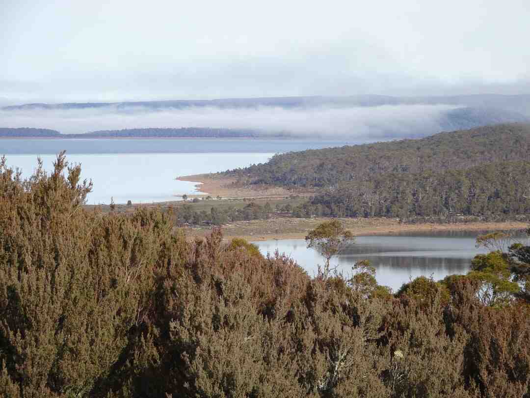 Quelle année les 20 ans du grand cabaret ?