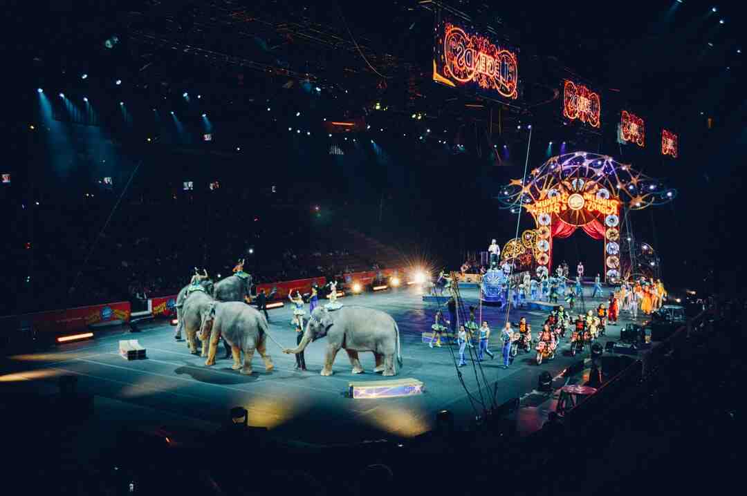 Quels sont les métiers liés aux spectacles vivant ?