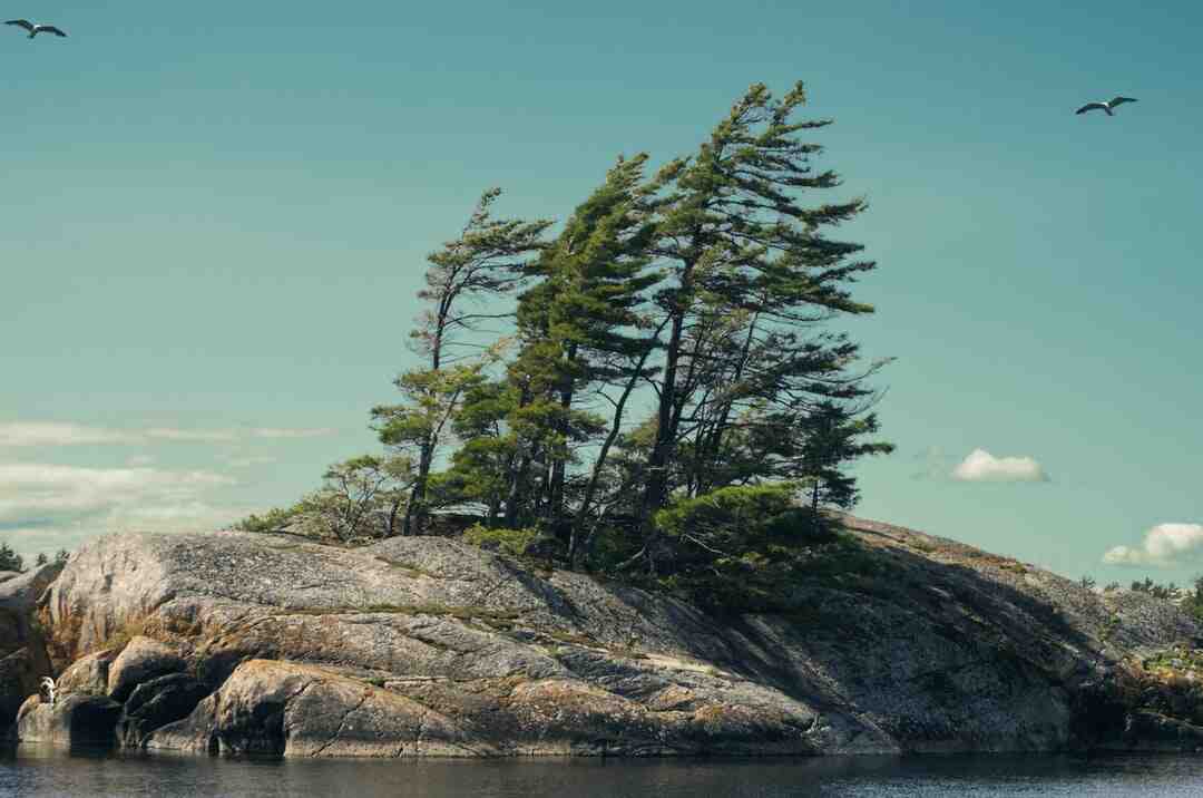 Quels sont les noms des différentes parties musicales composent un opéra ?