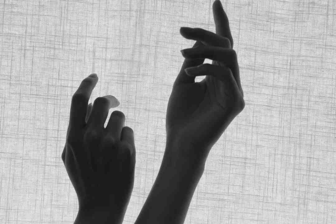 Quels sont les quatre formes d'expression artistique présente dans l'opéra ?