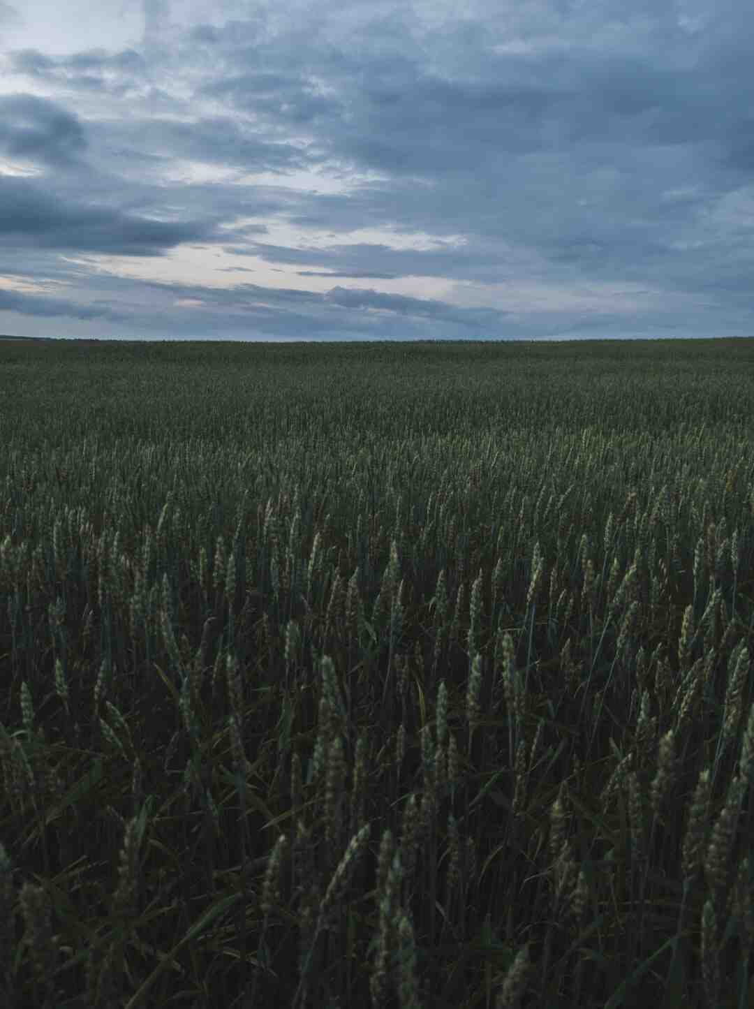 Comment s'habiller quand il fait froid le matin et chaud l'Après-midi ?