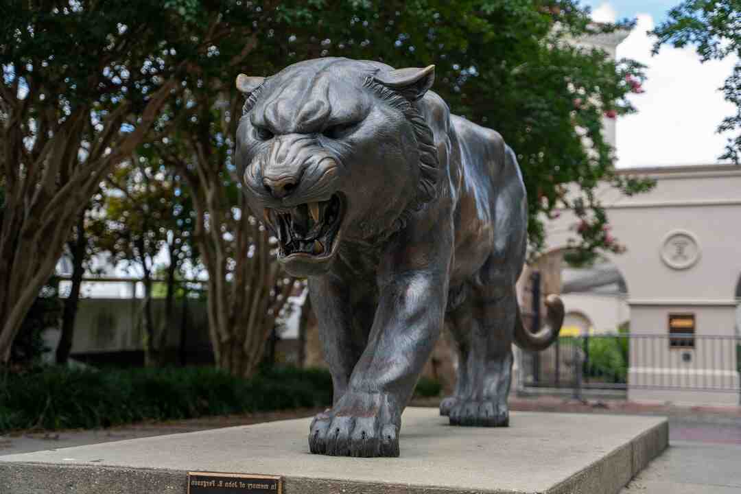 Pourquoi les danseuses du Moulin Rouge crient ?