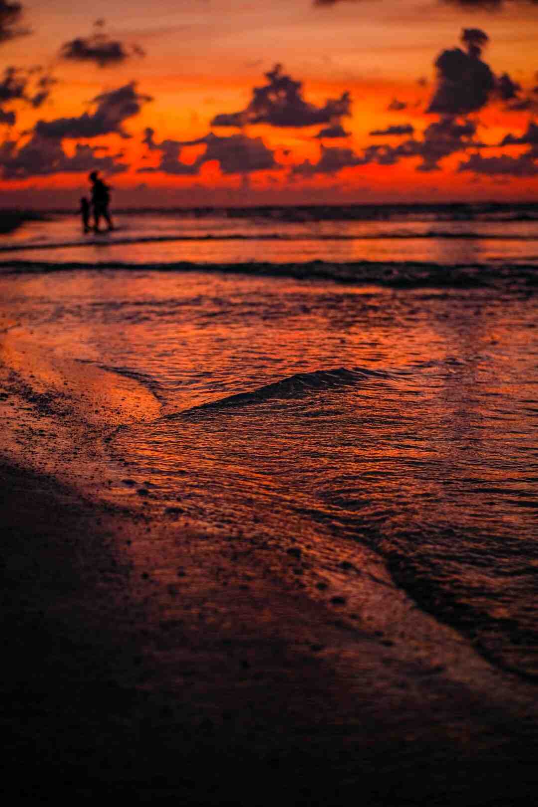 Quelle est la différence entre le Lido et le Moulin Rouge ?