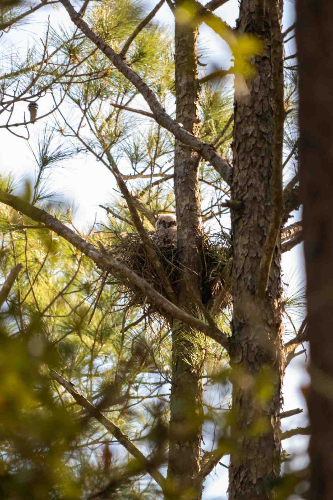 Qui est le meilleur humoriste de France ?