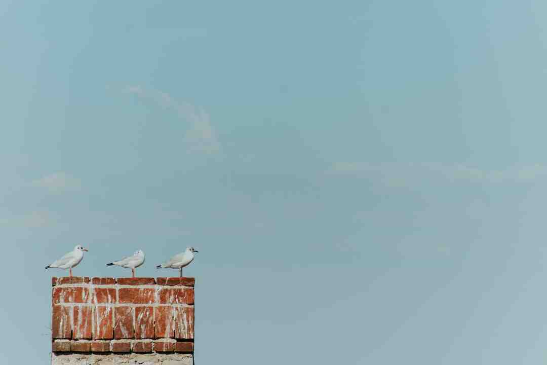 Comment avoir une allure classe ?