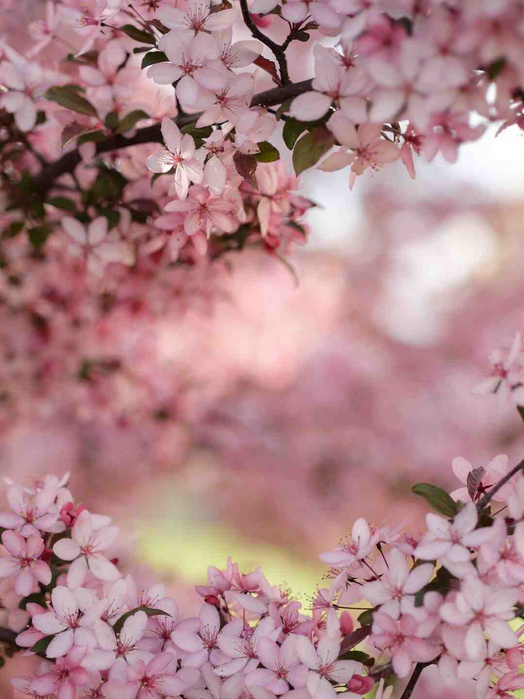 Comment on écrit un sketch ?