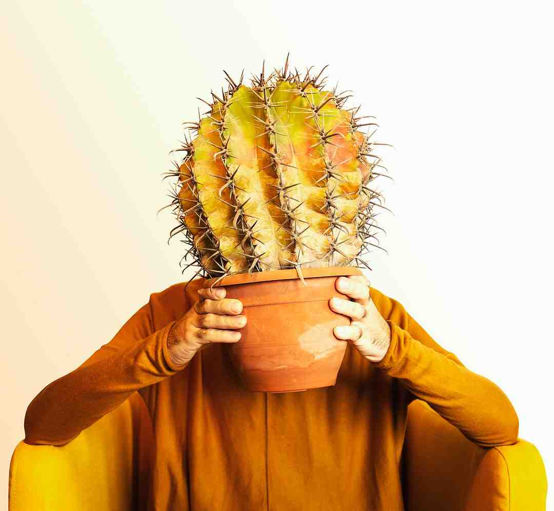 Comment se lancer dans l'humour ?