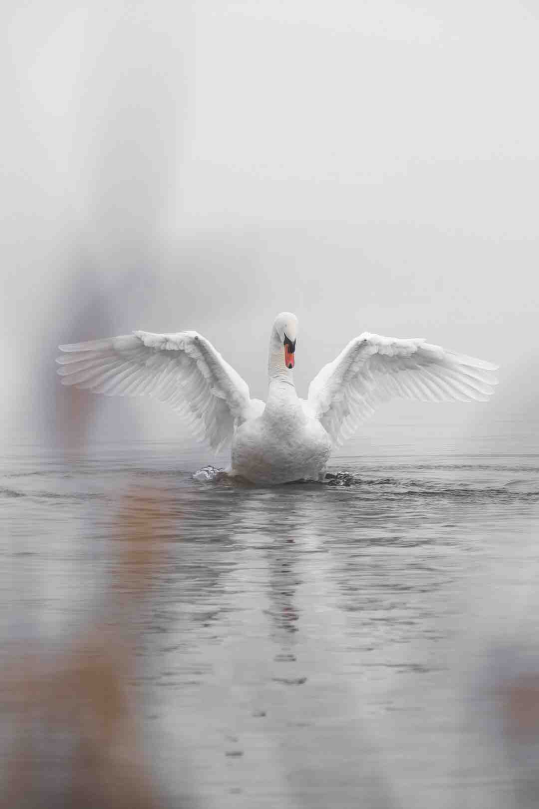 Comment s'habiller pour Broadway ?