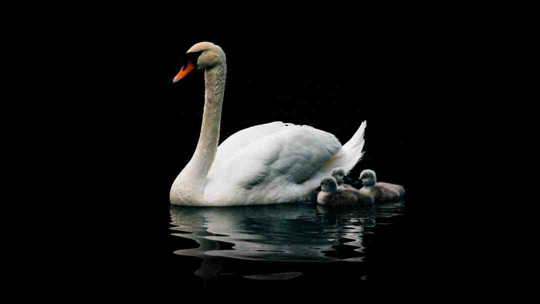 Comment s'habiller pour avoir la classe ?