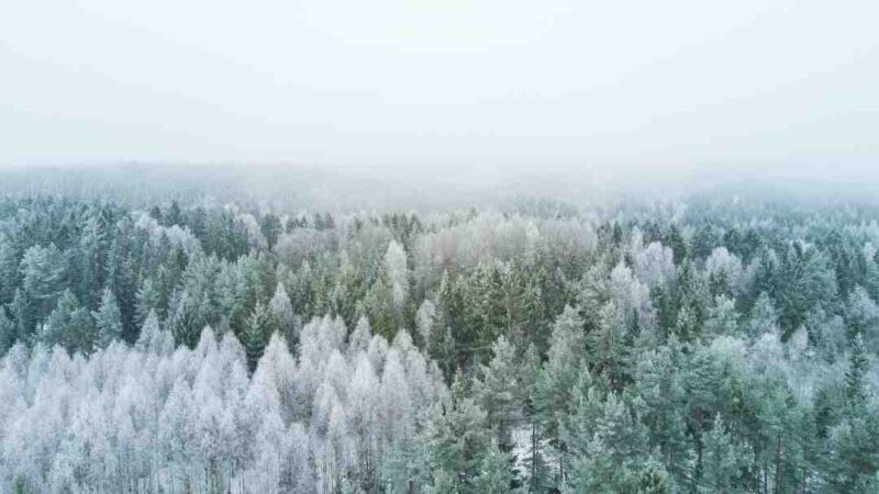 Comment s'habiller pour l'école en hiver ?