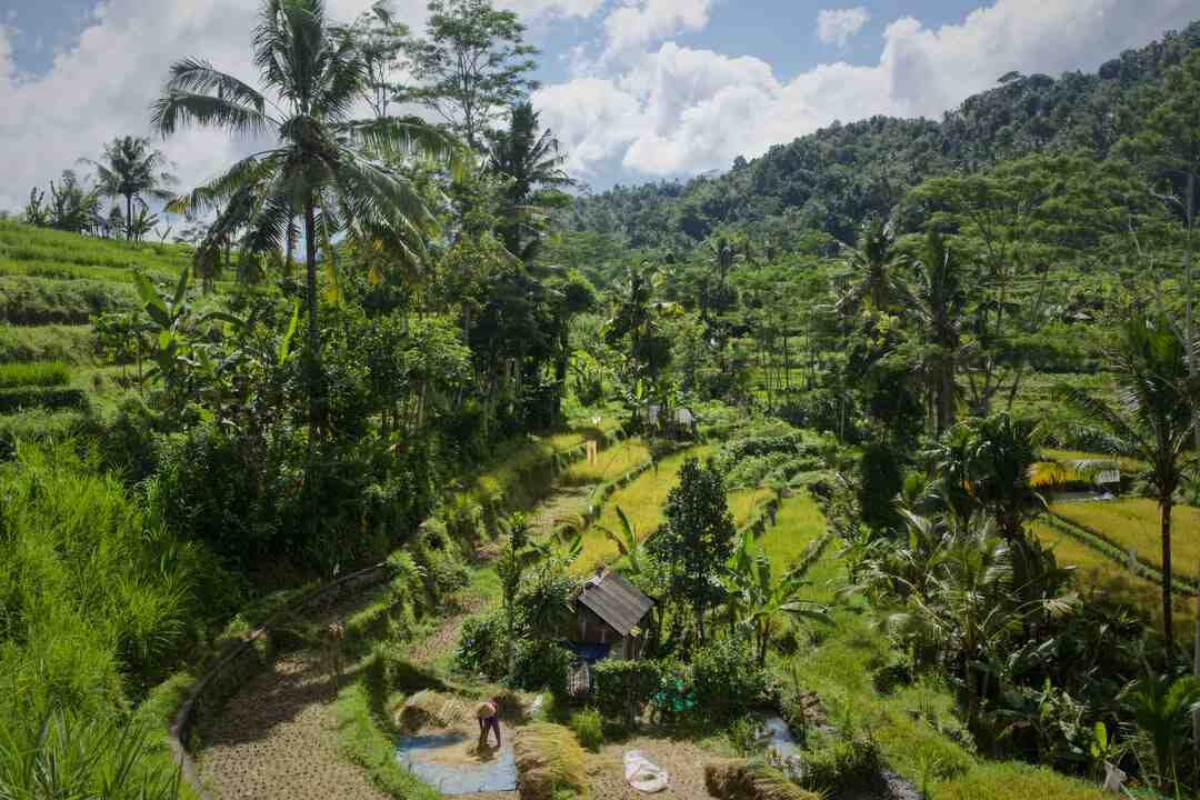 Où faire du stand-up à Paris ?