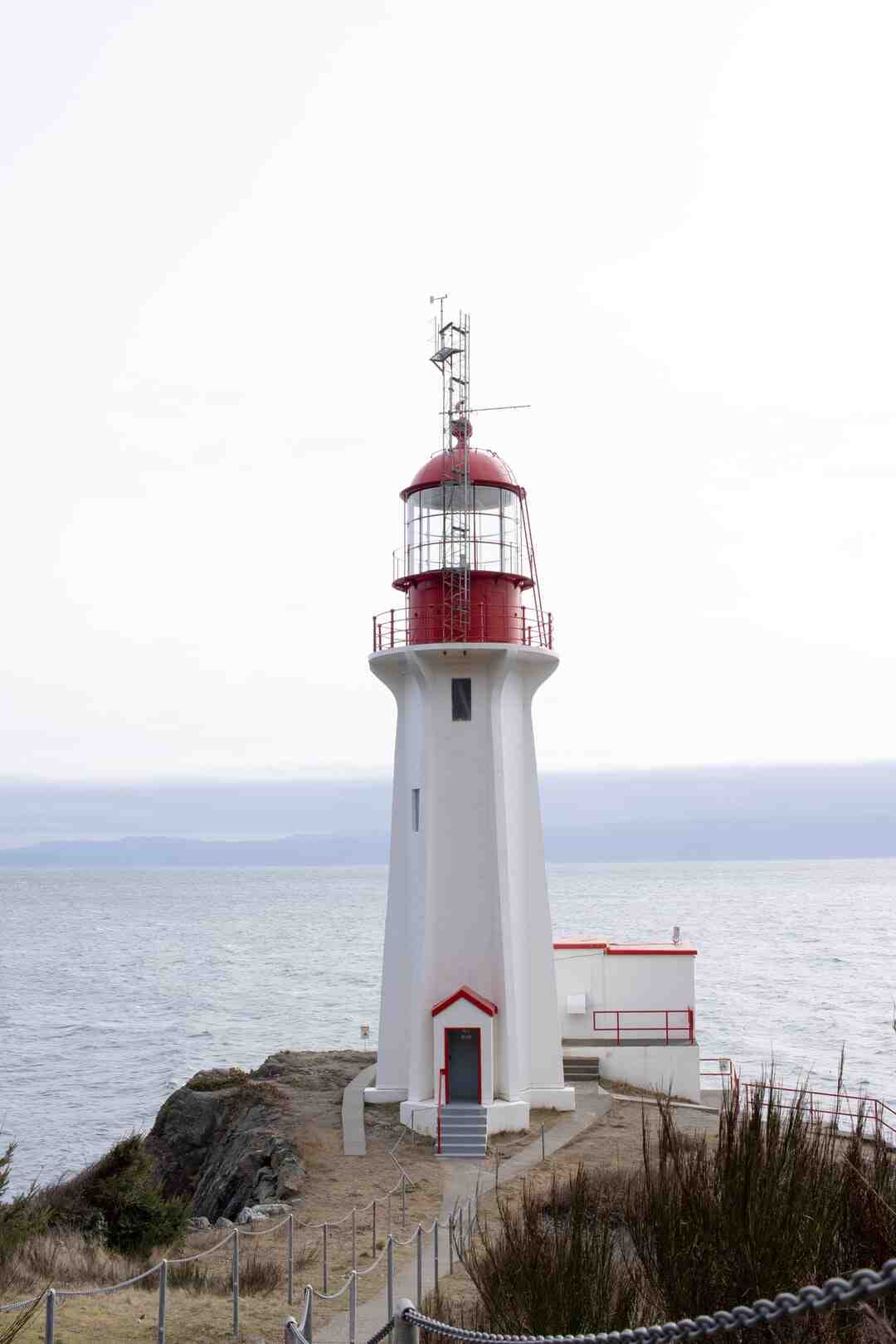 Pourquoi on ne voit plus Shirley et Dino ?