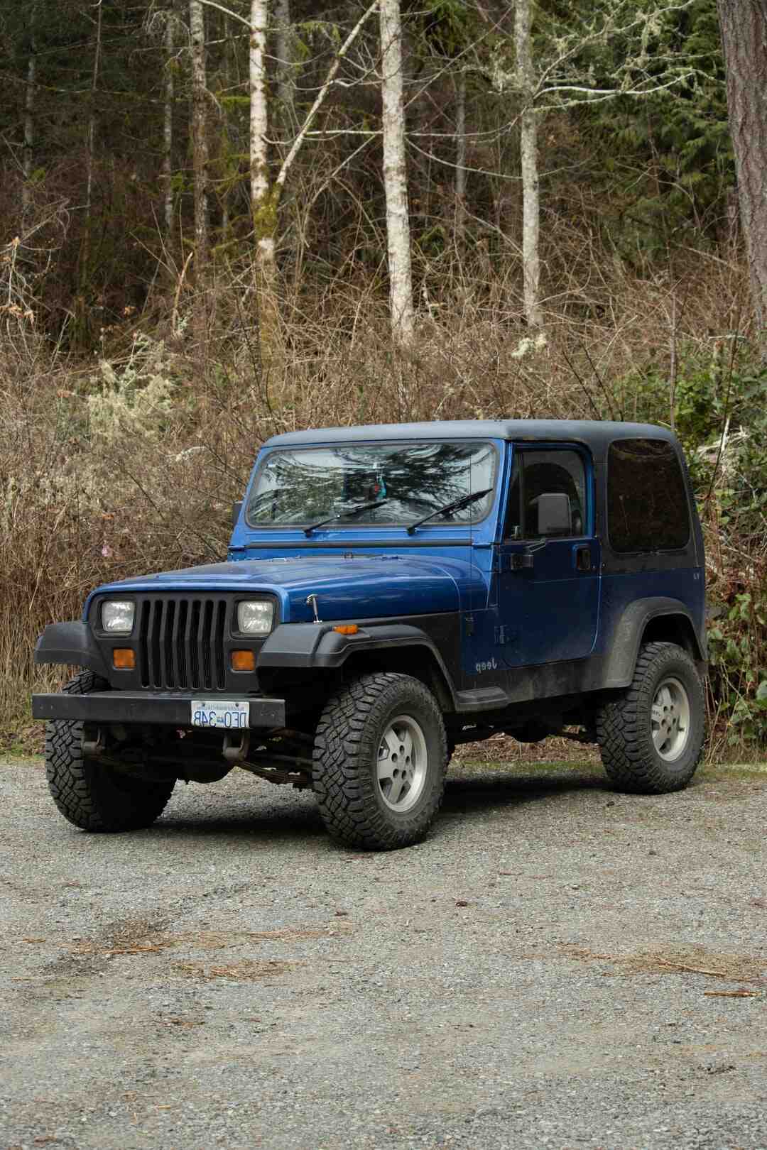 Quel âge a Charlie et Dino ?