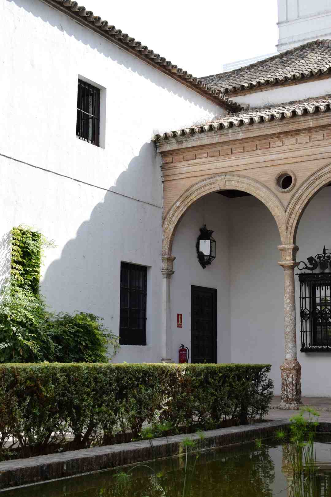 Quel est le vrai nom de Shirley et Dino ?