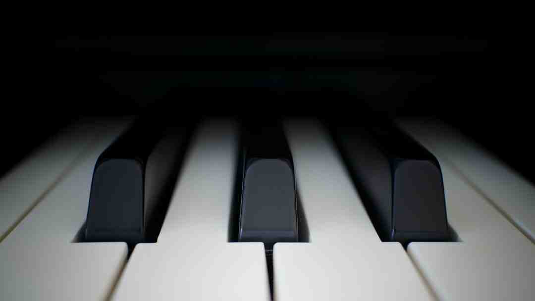 Quel sac prendre en concert ?