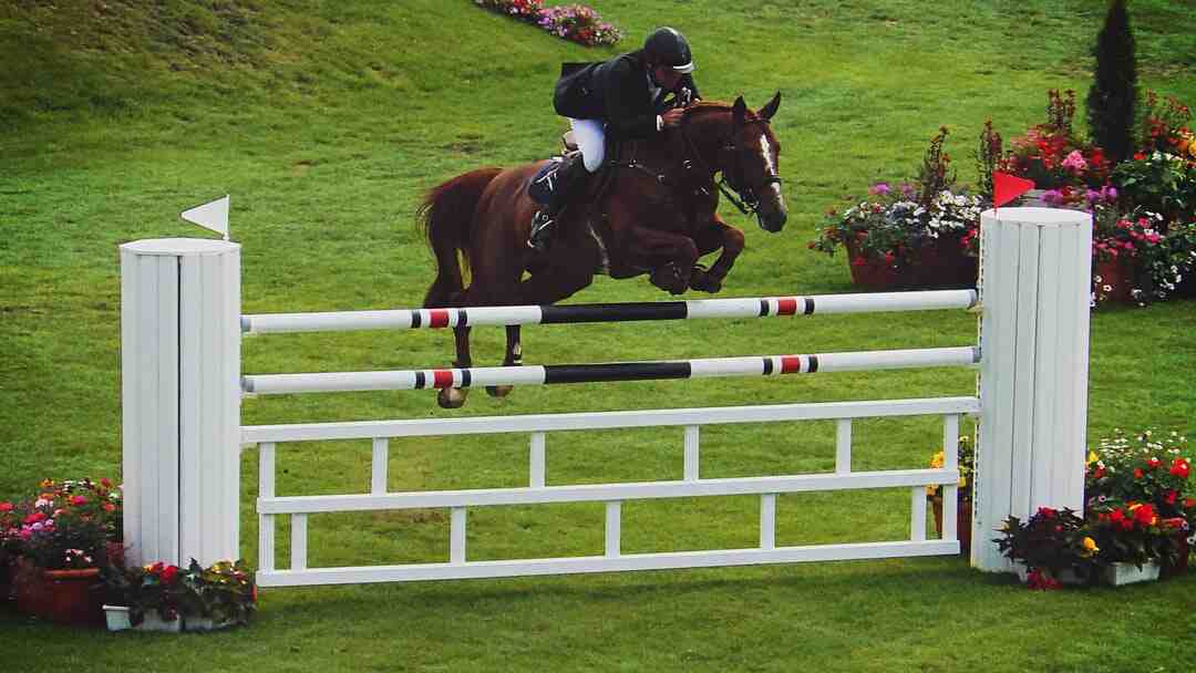 Quelle bac pour devenir actrice ?