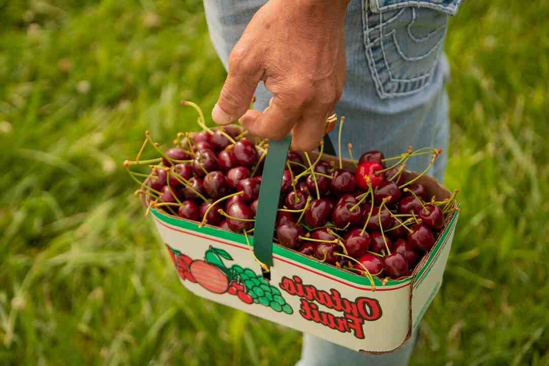 Qui a fait le sketch ?