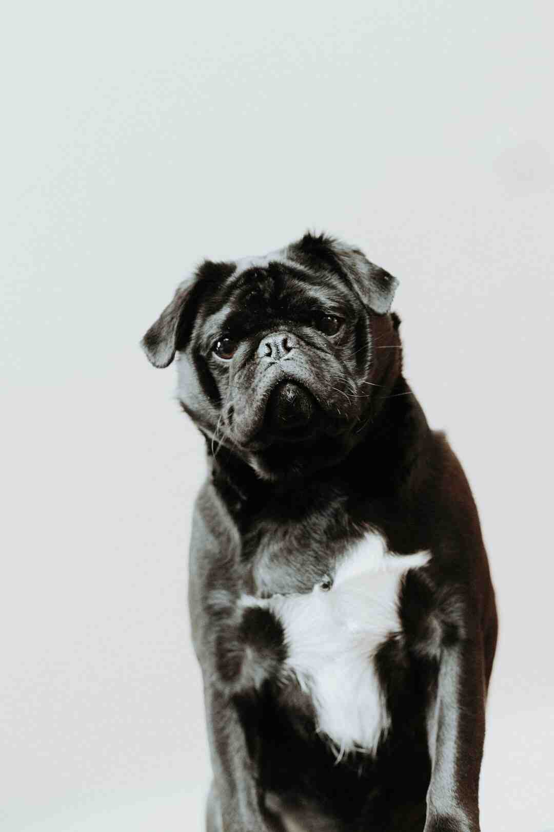 Qui invente les histoires drôles ?