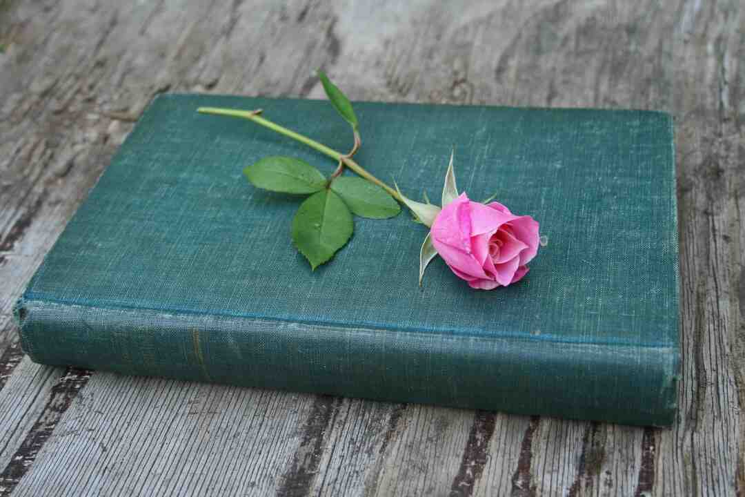 Quel est le premier opéra de l&rsquo;histoire titre et compositeur ?