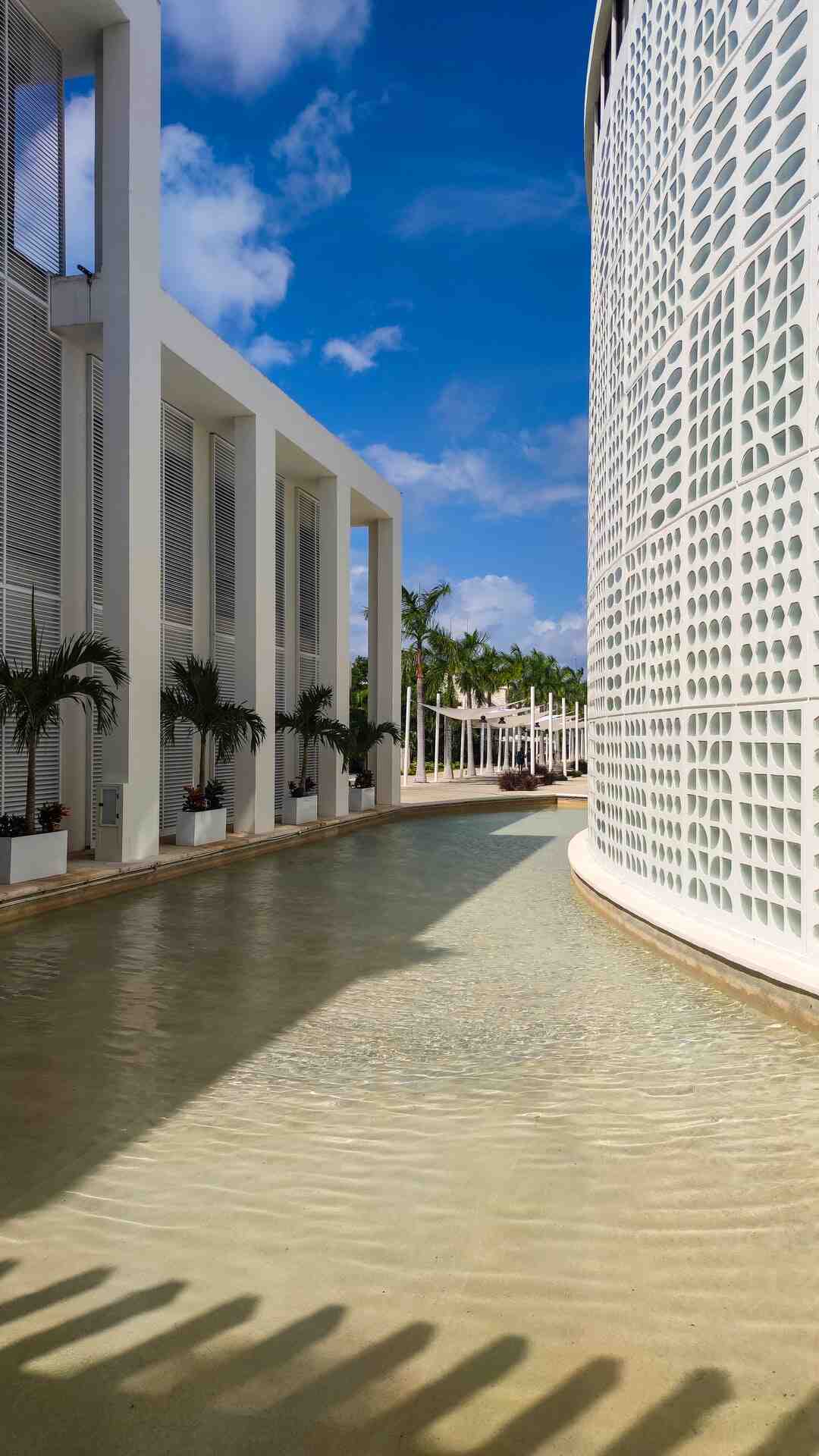 Quel est le tempo de Carmen de Bizet ?