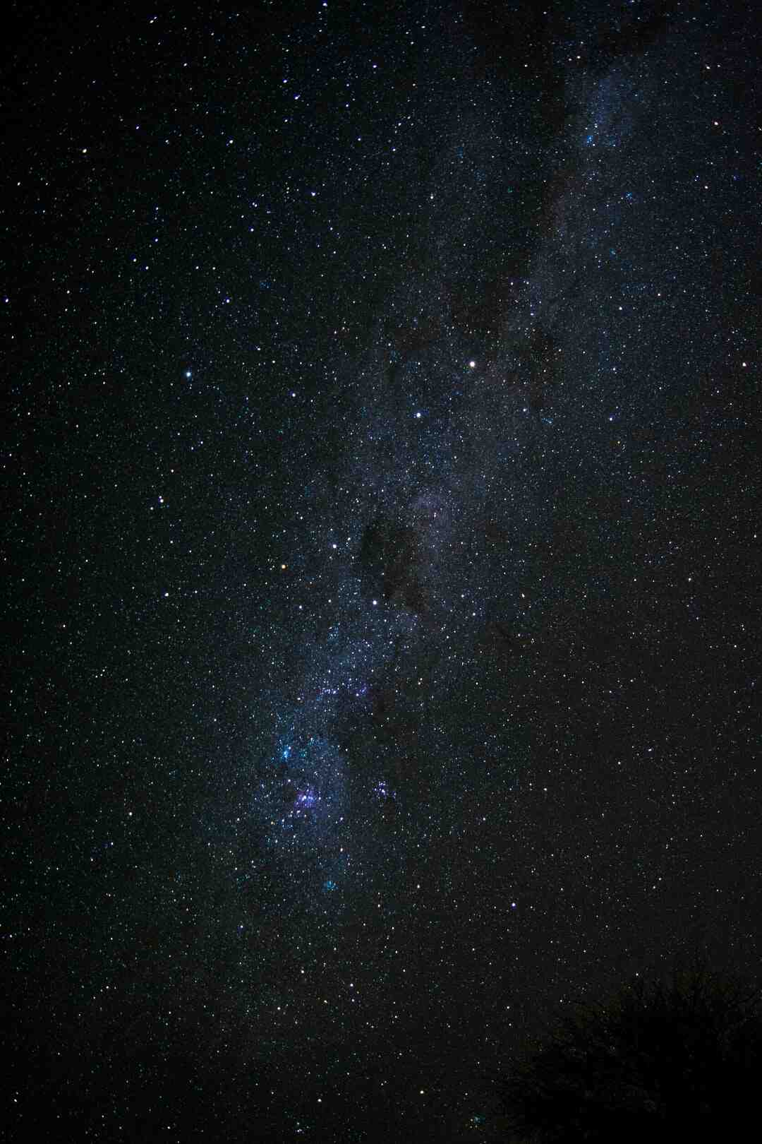 Quelle est la différence entre une discothèque et une boîte de nuit ?
