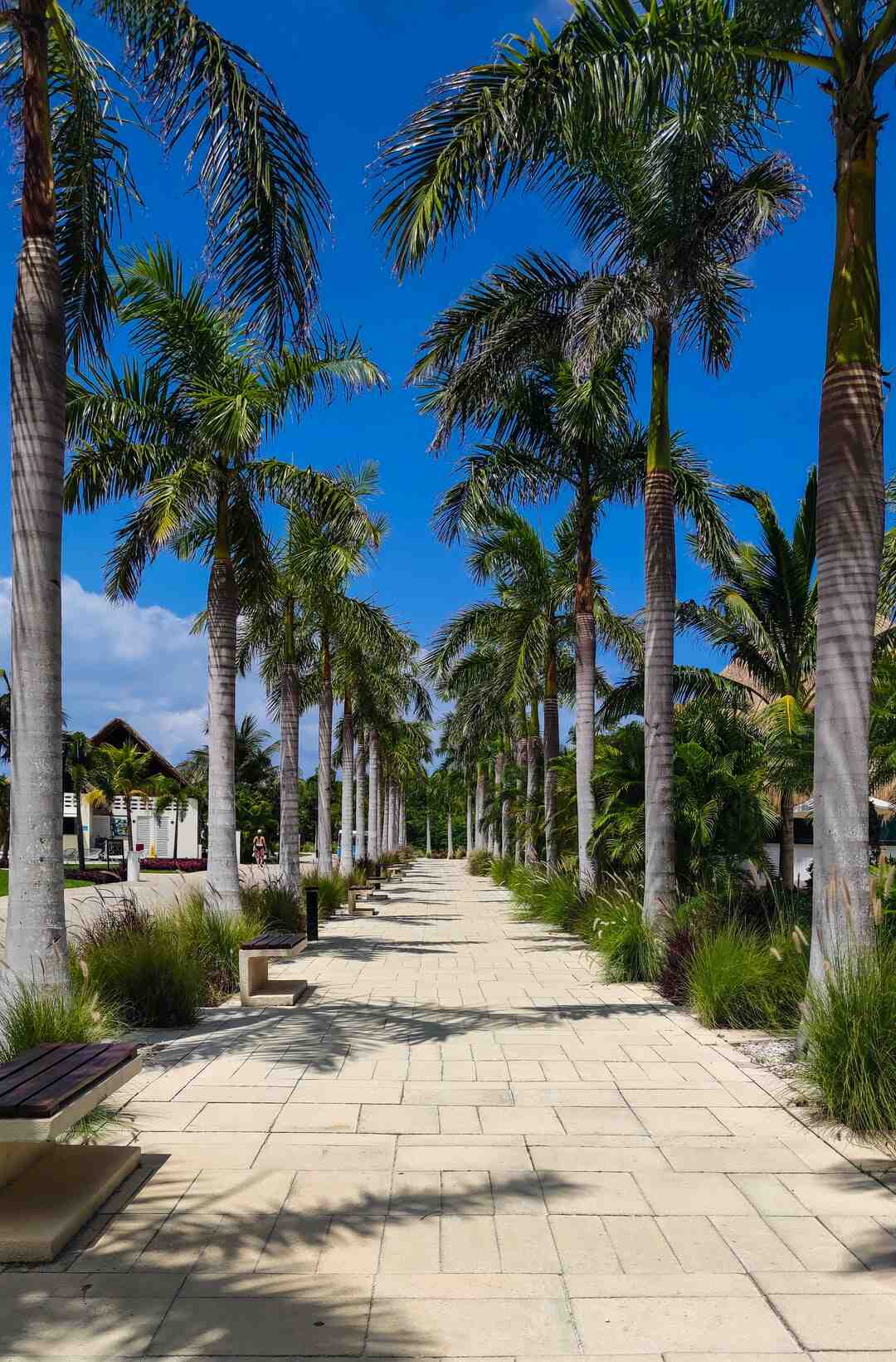 Quelle est l'histoire de Carmen de Bizet ?