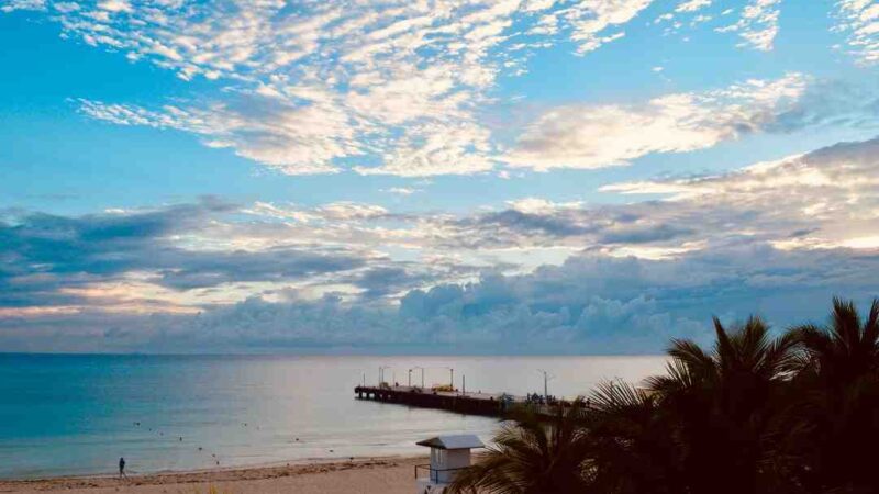 Qui a joué Carmen ?