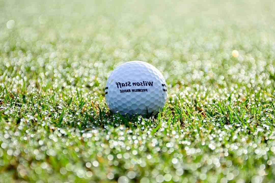 Qui est sorti du Jamel Comedy Club ?