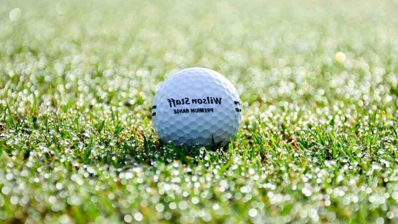 Qui fait partie du Jamel Comedy Club ?