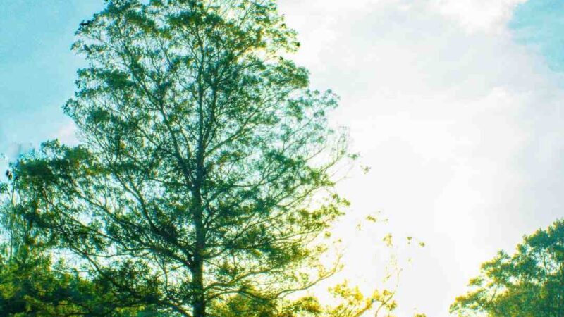 Comment avoir un VPN français gratuit ?