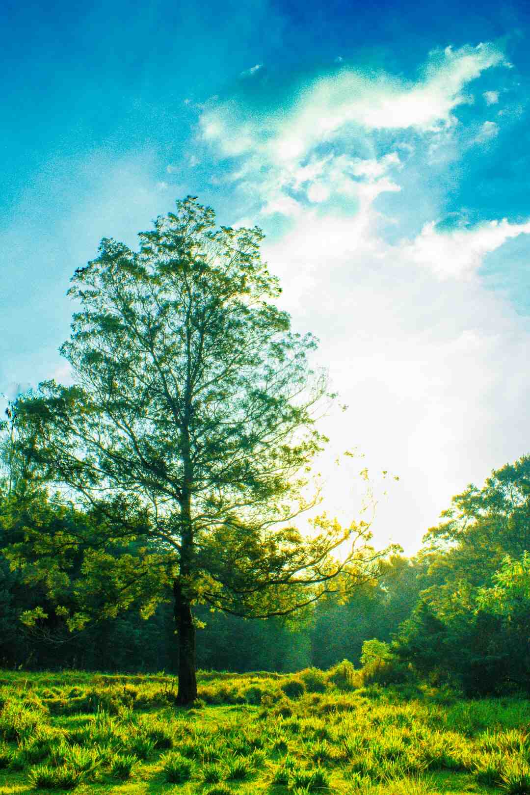 Comment avoir un VPN français gratuit ?