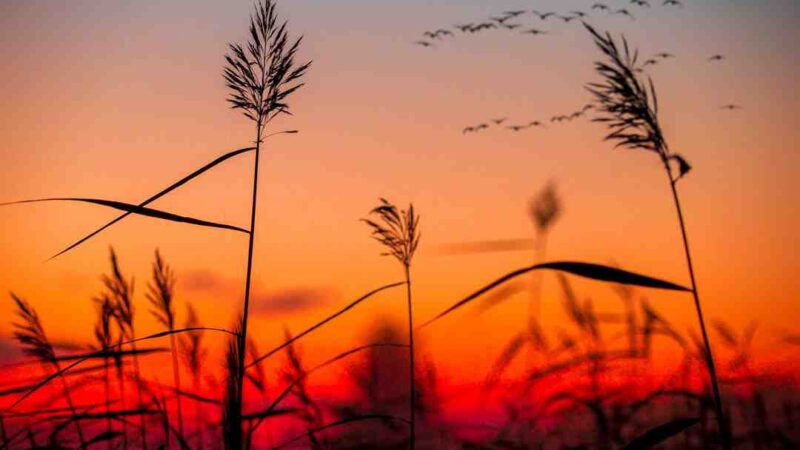 Comment avoir une adresse IP française gratuit ?