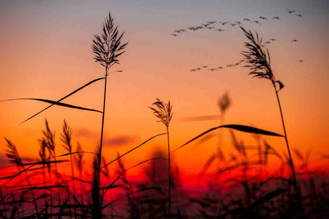 Comment se connecter à un autre pays ?