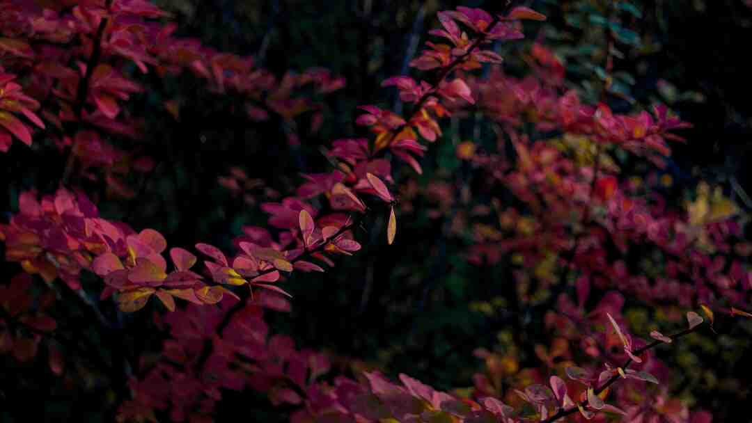 Quel VPN est vraiment gratuit ?