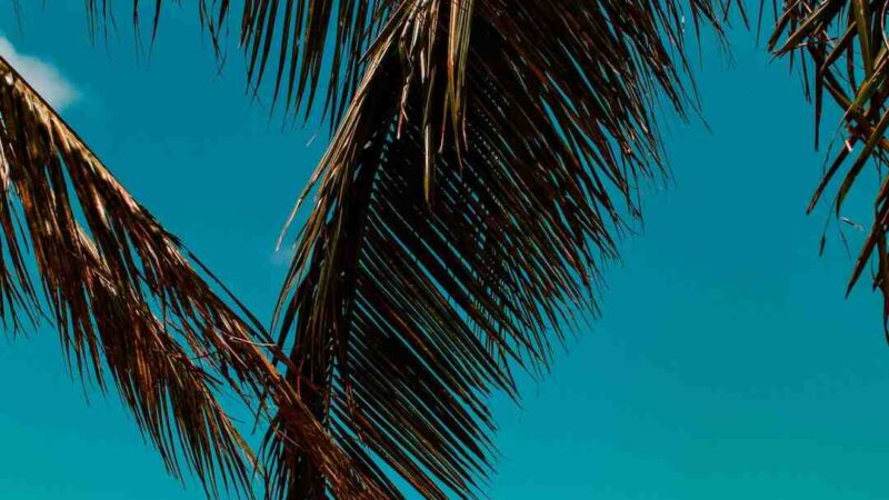 Quel VPN gratuit pour telecharger ?